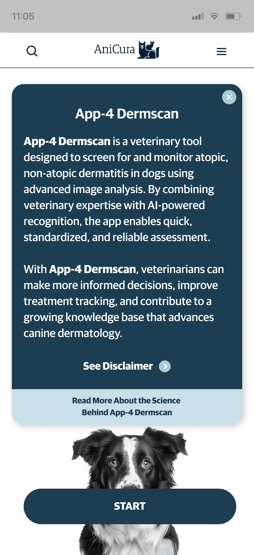 mars work/dermscan/ani 1