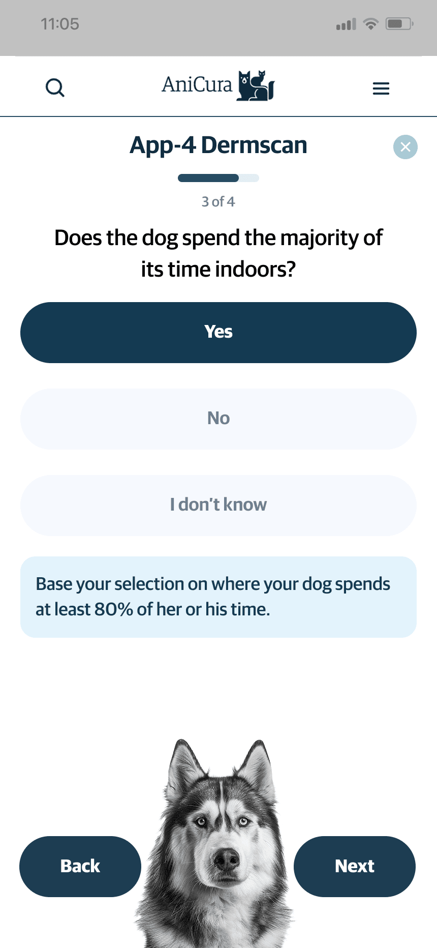 mars work/dermscan/ani 2