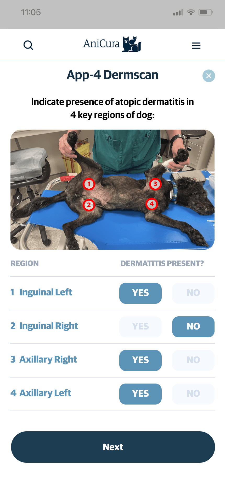 mars work/dermscan/ani 3