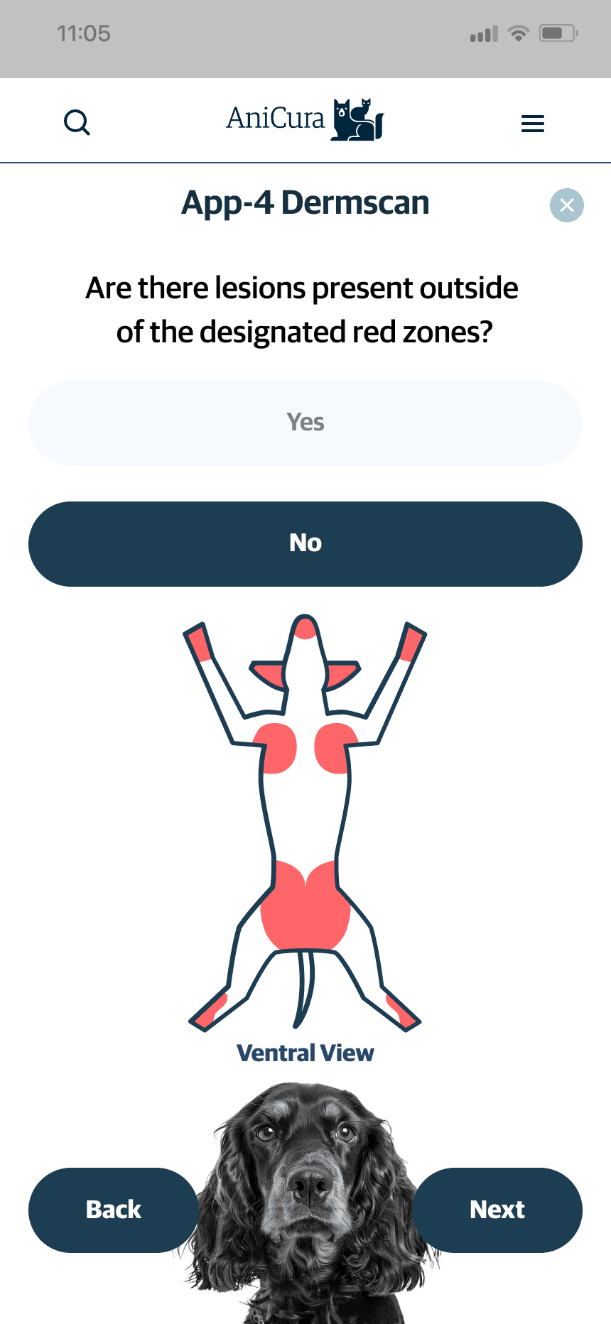 mars work/dermscan/ani 4