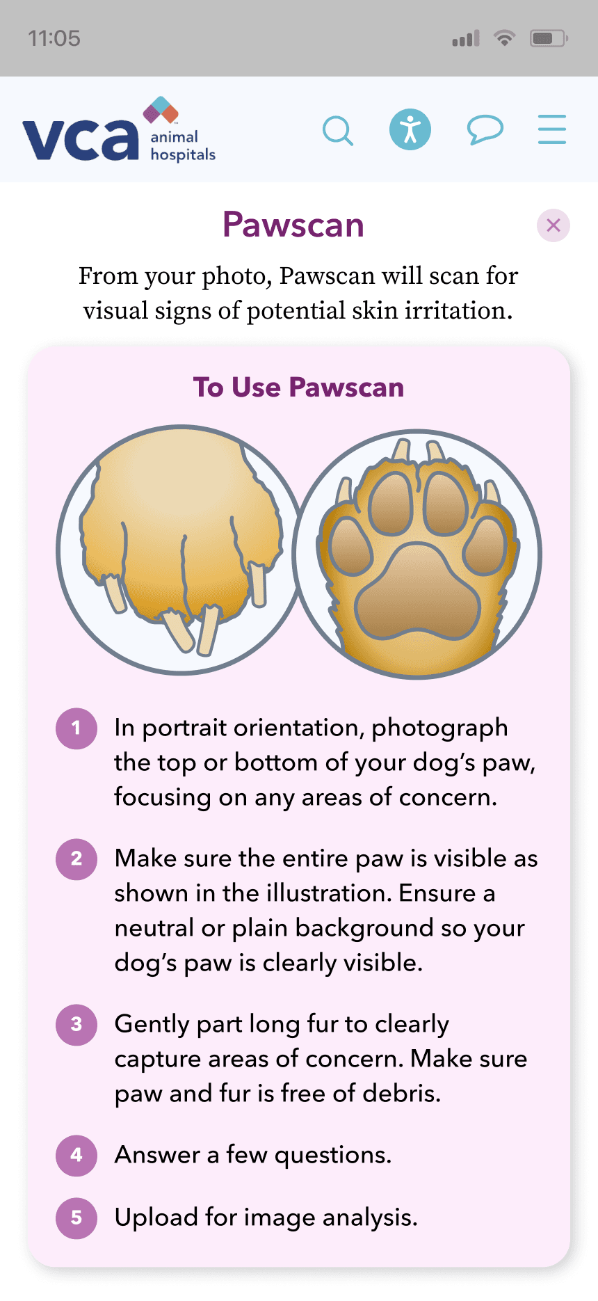 mars work/pawscan/vca 02