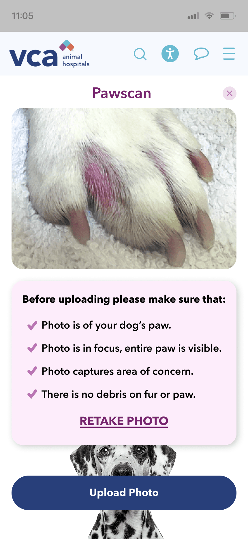 mars work/pawscan/vca 03