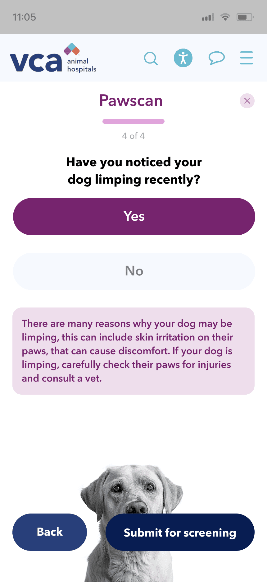 mars work/pawscan/vca 04