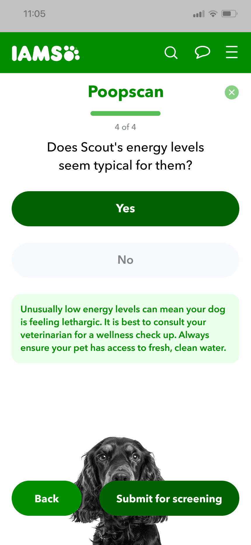 mars work/poopscan/iams 2