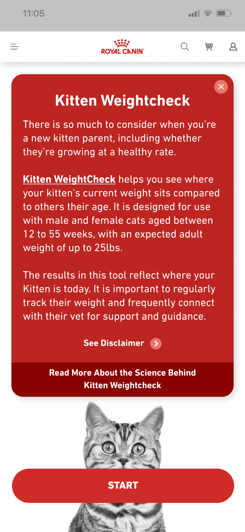 mars work/rc kitten/rc kit 1 new