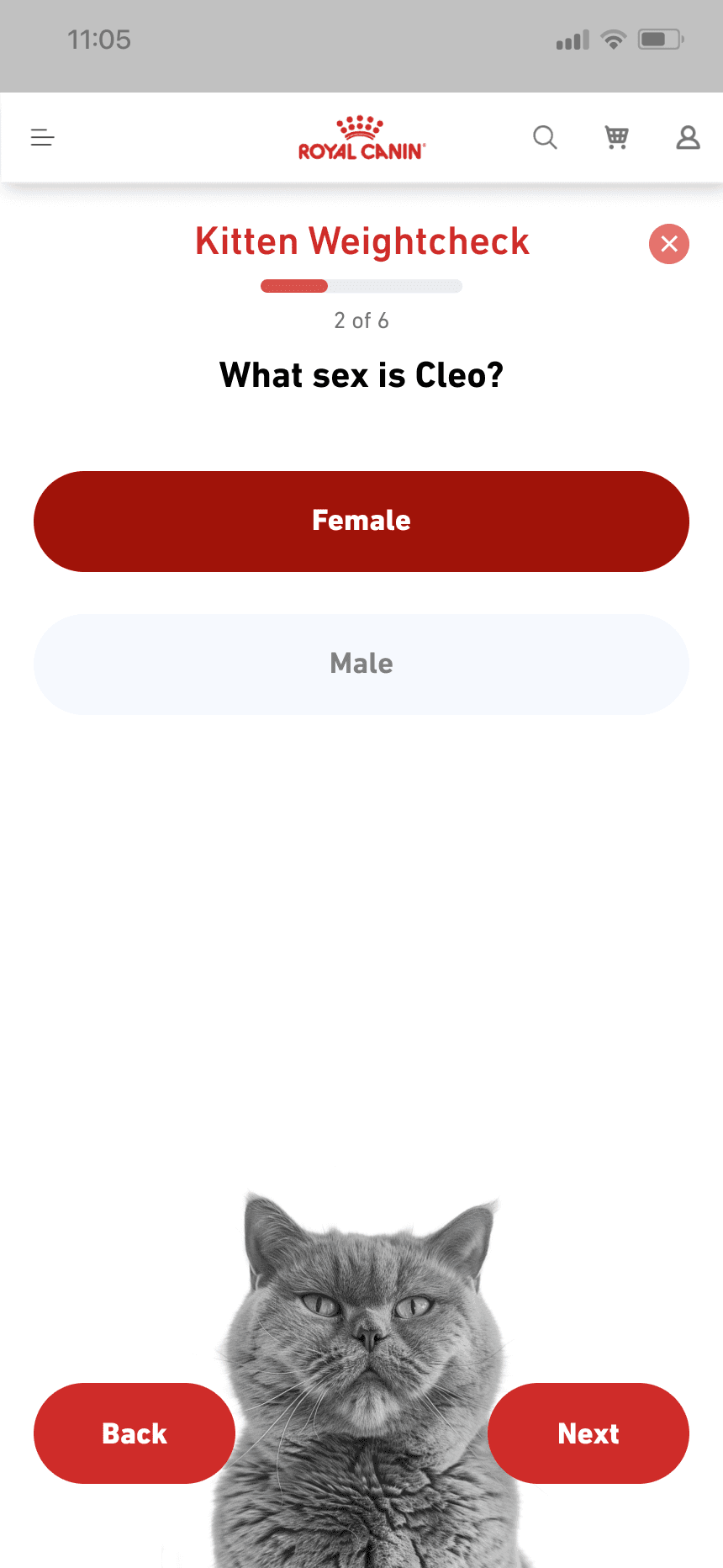 mars work/rc kitten/rc kit 2