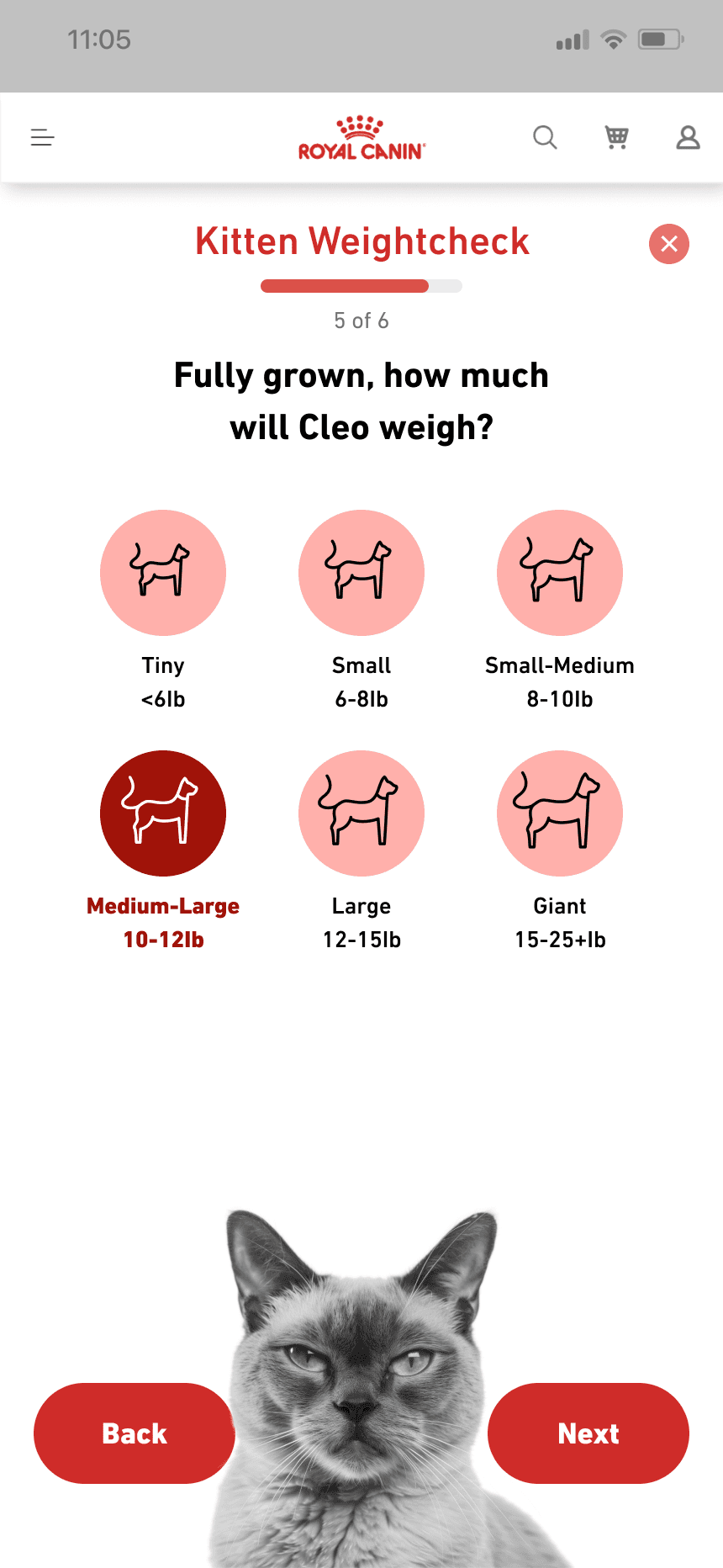 mars work/rc kitten/rc kit 3 new