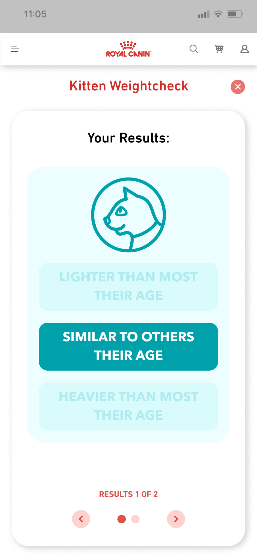 mars work/rc kitten/rc kit 4