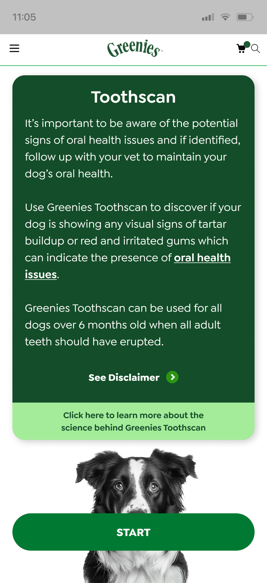 mars work/toothscan/greenies 1 new
