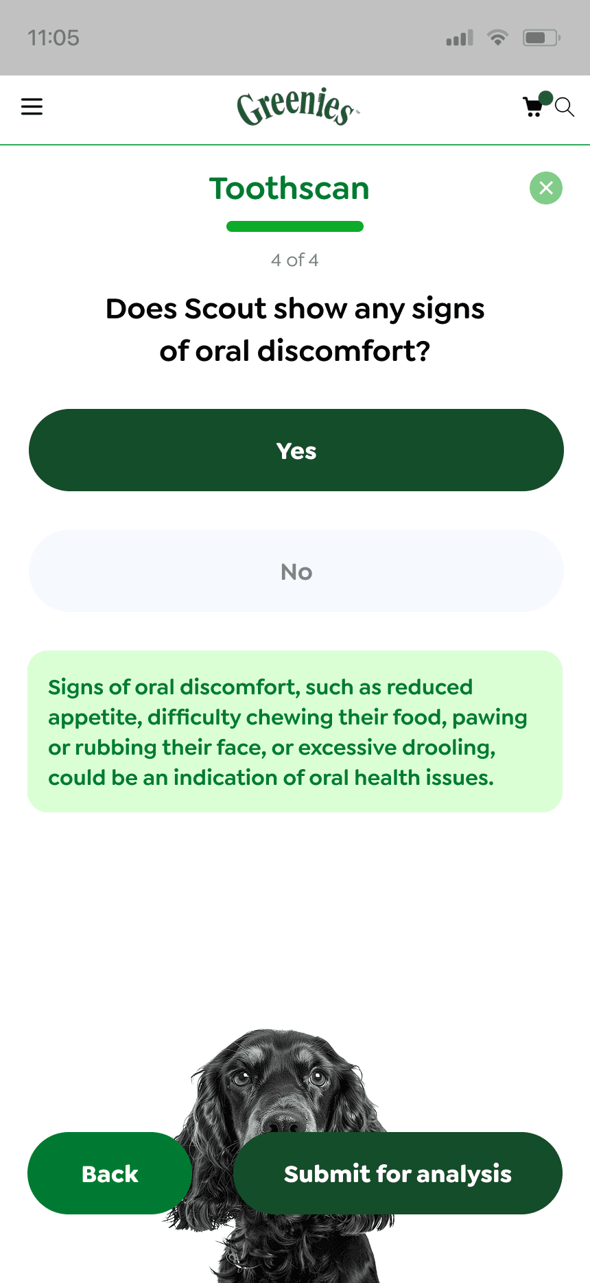 mars work/toothscan/greenies 3