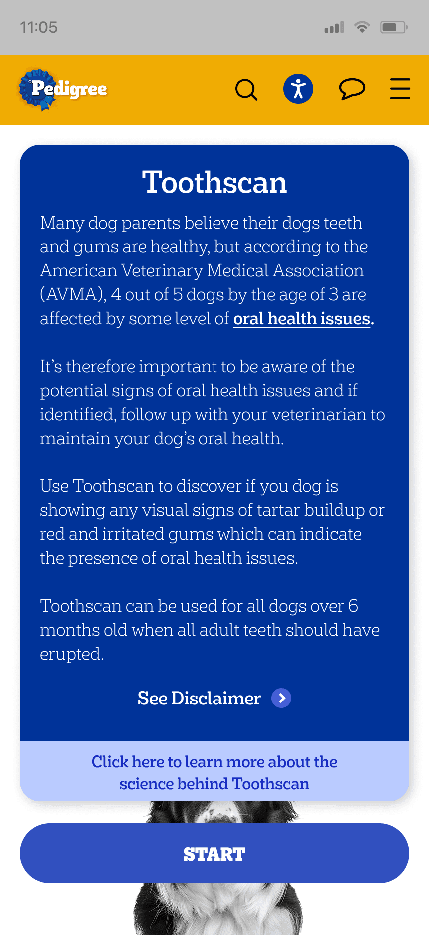 mars work/toothscan/ped 1
