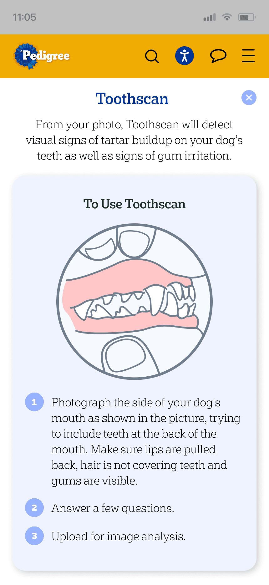 mars work/toothscan/ped 2